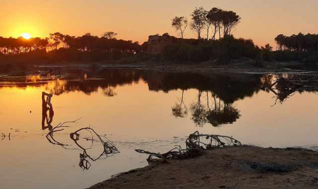 Laghi, pinete e torri del 500: tra Puglia e Basilicata c' l'incantevole riserva Stornara